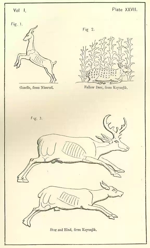 plate027